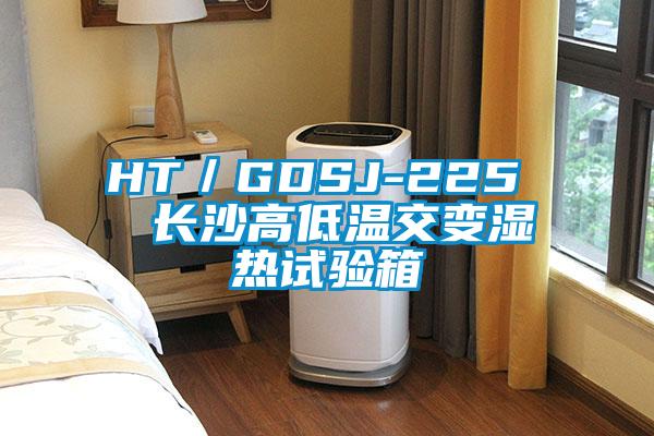 HT/GDSJ-225 長沙高低溫交變濕熱試驗箱
