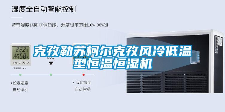 克孜勒蘇柯爾克孜風冷低溫型恒溫恒濕機
