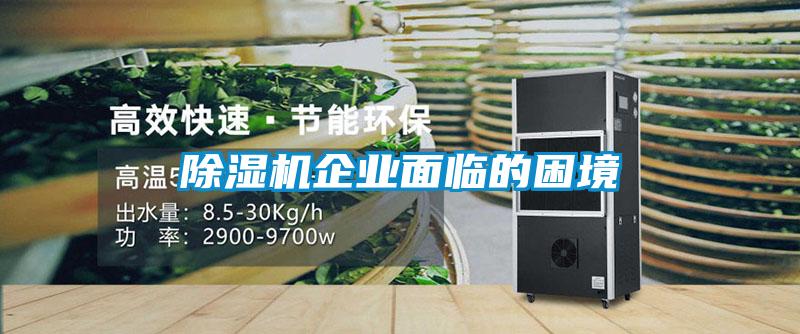 91视频链接下载企業麵臨的困境