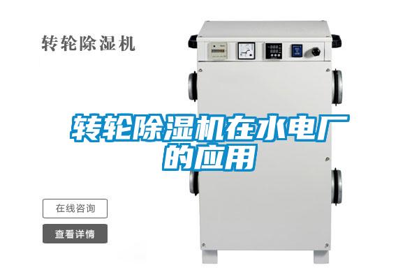 轉輪91视频链接下载在水電廠的應用