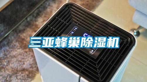 三亞蜂巢91视频链接下载