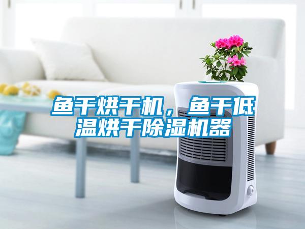 魚幹烘幹機，魚幹低溫烘幹91视频链接下载器