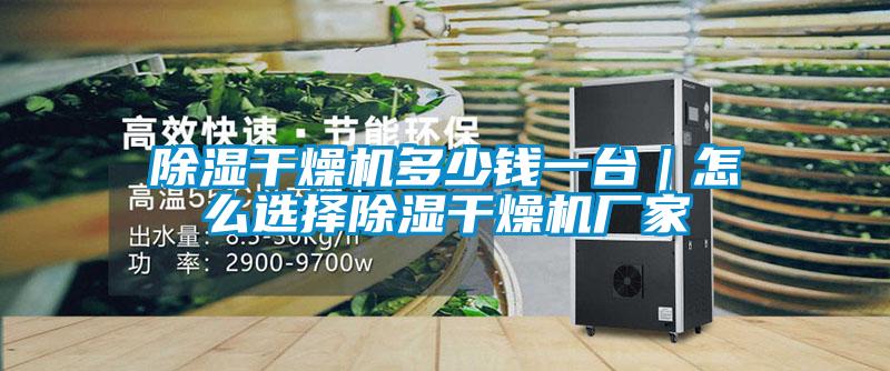 除濕幹燥機多少錢一台|怎麽選擇除濕幹燥機廠家