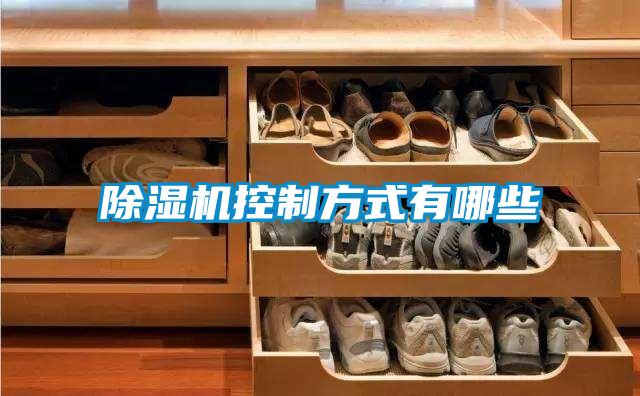 91视频链接下载控製方式有哪些