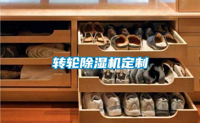 轉輪91视频链接下载定製