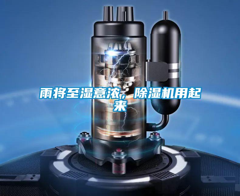 雨將至濕意濃，91视频链接下载用起來