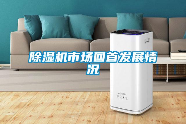 91视频链接下载市場回首發展情況