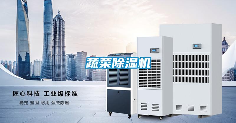 蔬菜91视频链接下载