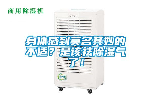 身體感到莫名其妙的不適？是該祛除濕氣了！