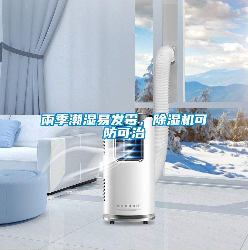 雨季潮濕易發黴，91视频链接下载可防可治