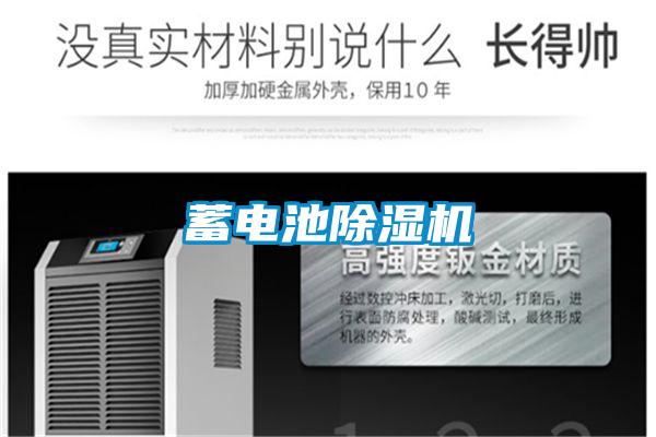 蓄電池91视频链接下载