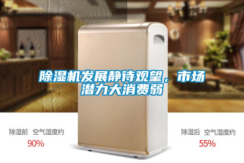 91视频链接下载發展靜待觀望，市場潛力大消費弱