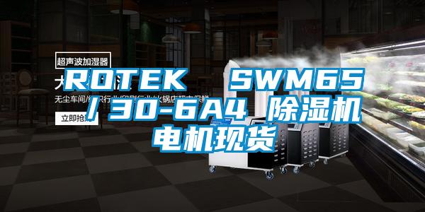 ROTEK SWM65/30-6A4 91视频链接下载電機現貨