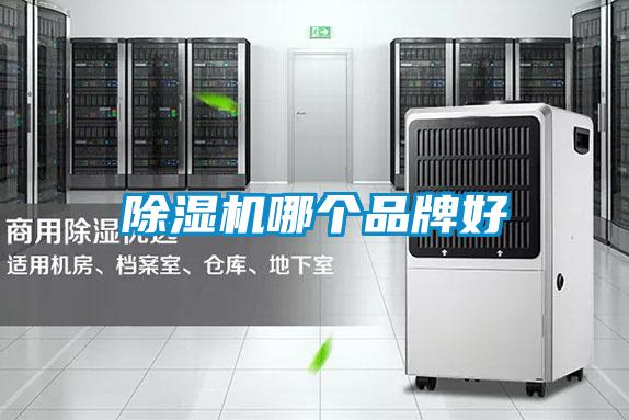 91视频链接下载哪個品牌好