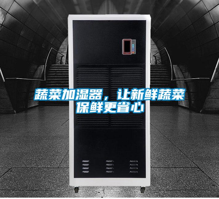 蔬菜加濕器，讓新鮮蔬菜保鮮更省心