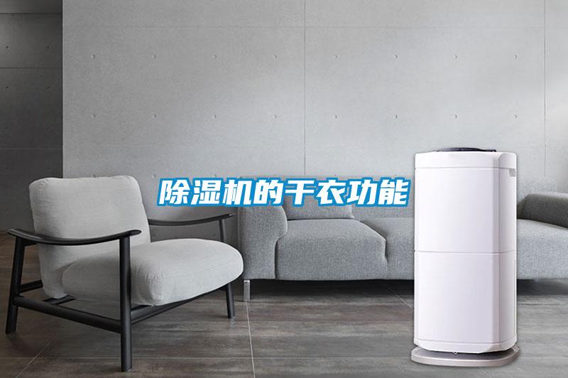 91视频链接下载的幹衣功能