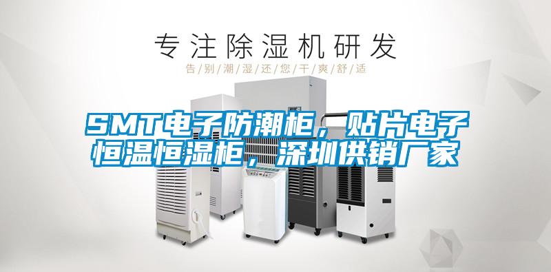SMT電子防潮櫃，貼片電子恒溫恒濕櫃，深圳供銷廠家