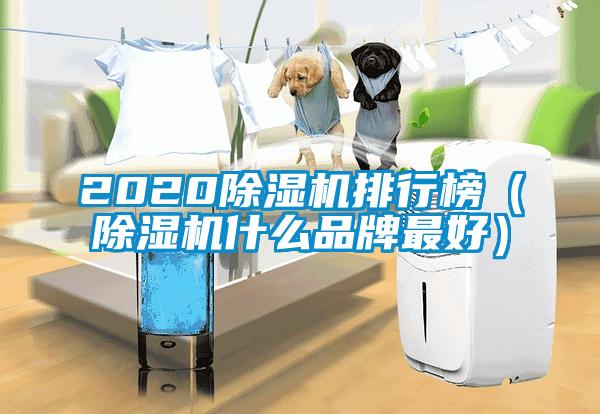 202091视频链接下载排行榜（91视频链接下载什麽品牌最好）