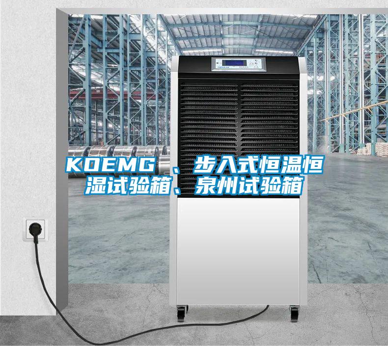 KOEMG 、步入式恒溫恒濕試驗箱、泉州試驗箱