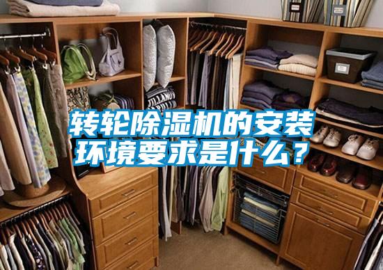 轉輪91视频链接下载的安裝環境要求是什麽？