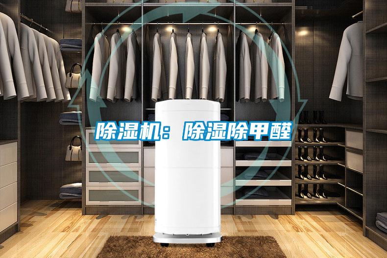 91视频链接下载：除濕除甲醛