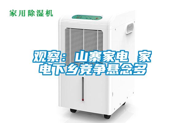 觀察：山寨家電 家電下鄉競爭懸念多