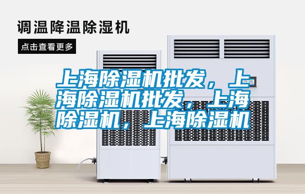 上海91视频链接下载批發，上海91视频链接下载批發，上海91视频链接下载，上海91视频链接下载