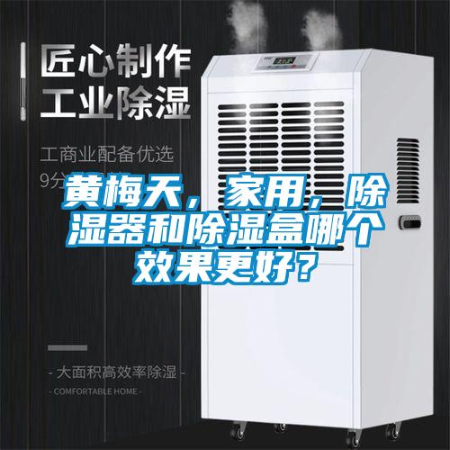 黃梅天，家用，除濕器和除濕盒哪個效果更好？