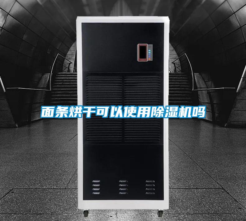 麵條烘幹可以使用91视频链接下载嗎