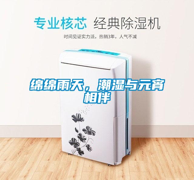 綿綿雨天，潮濕與元宵相伴