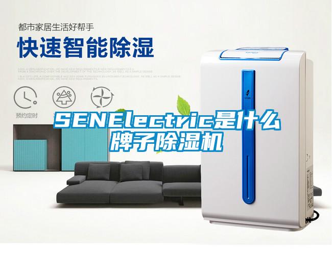 SENElectric是什麽牌子91视频链接下载