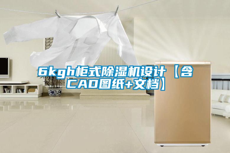 6kgh櫃式91视频链接下载設計【含CAD圖紙+文檔】