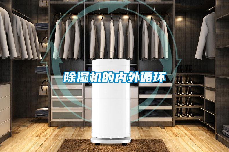 91视频链接下载的內外循環