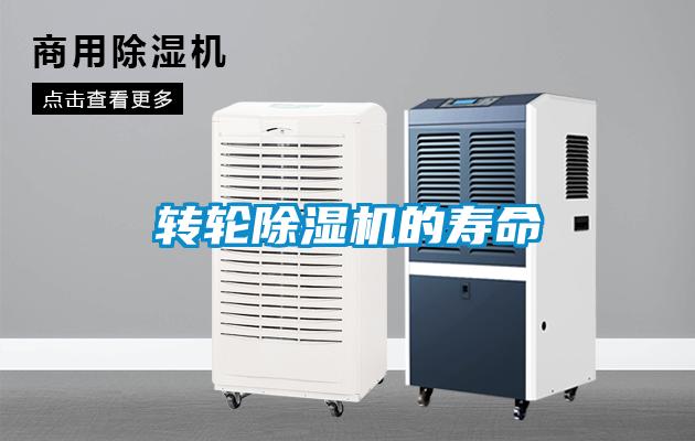 轉輪91视频链接下载的壽命