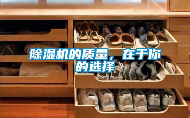 91视频链接下载的質量，在於你的選擇