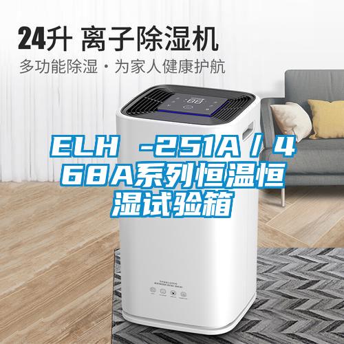 ELH -251A/468A係列恒溫恒濕試驗箱