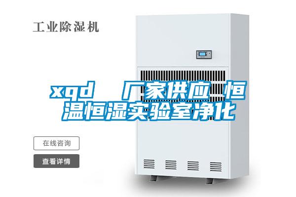 xqd 廠家供應 恒溫恒濕實驗室淨化