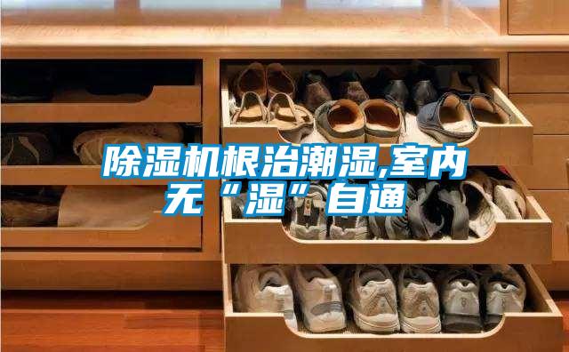 91视频链接下载根治潮濕,室內無“濕”自通