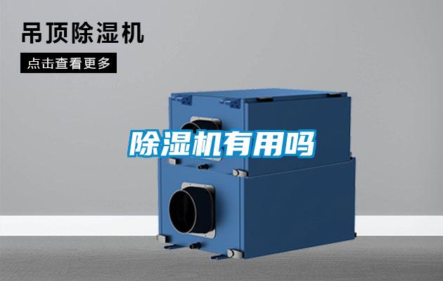 91视频链接下载有用嗎