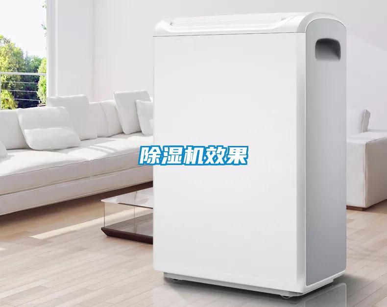 91视频链接下载效果