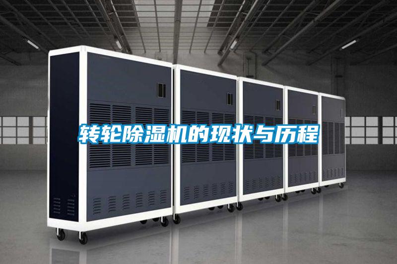 轉輪91视频链接下载的現狀與曆程