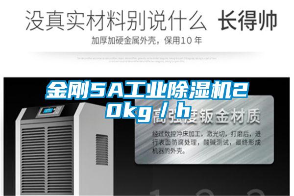 金剛5A工業91视频链接下载20kg/h