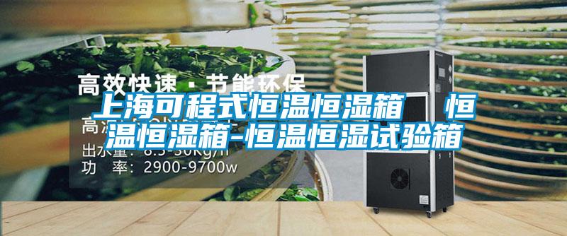 上海可程式恒溫恒濕箱 恒溫恒濕箱-恒溫恒濕試驗箱