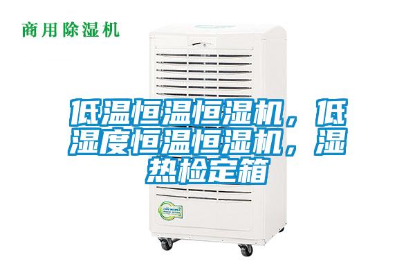 低溫恒溫恒濕機，低濕度恒溫恒濕機，濕熱檢定箱