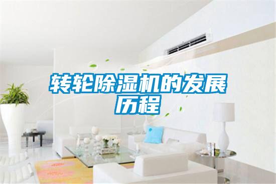 轉輪91视频链接下载的發展曆程