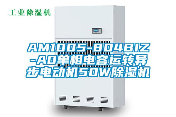 AM1005-804BIZ-A0單相電容運轉異步電動機50W91视频链接下载