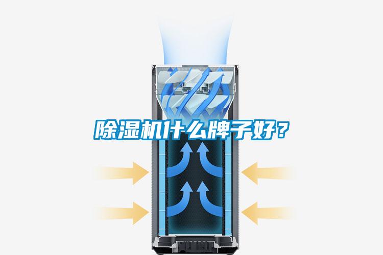 91视频链接下载什麽牌子好？