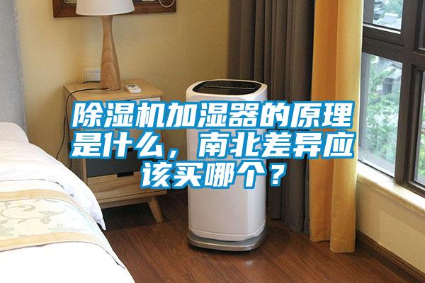 91视频链接下载加濕器的原理是什麽，南北差異應該買哪個？