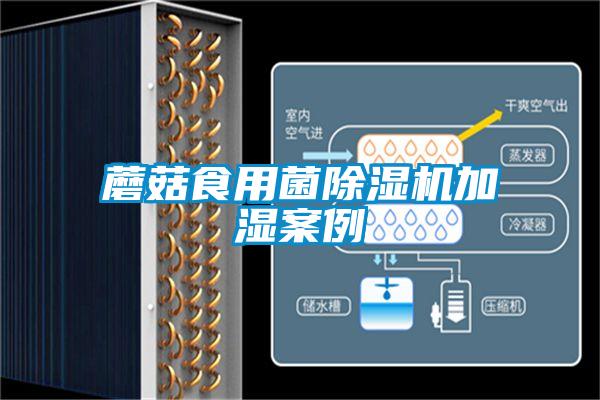 蘑菇食用菌91视频链接下载加濕案例