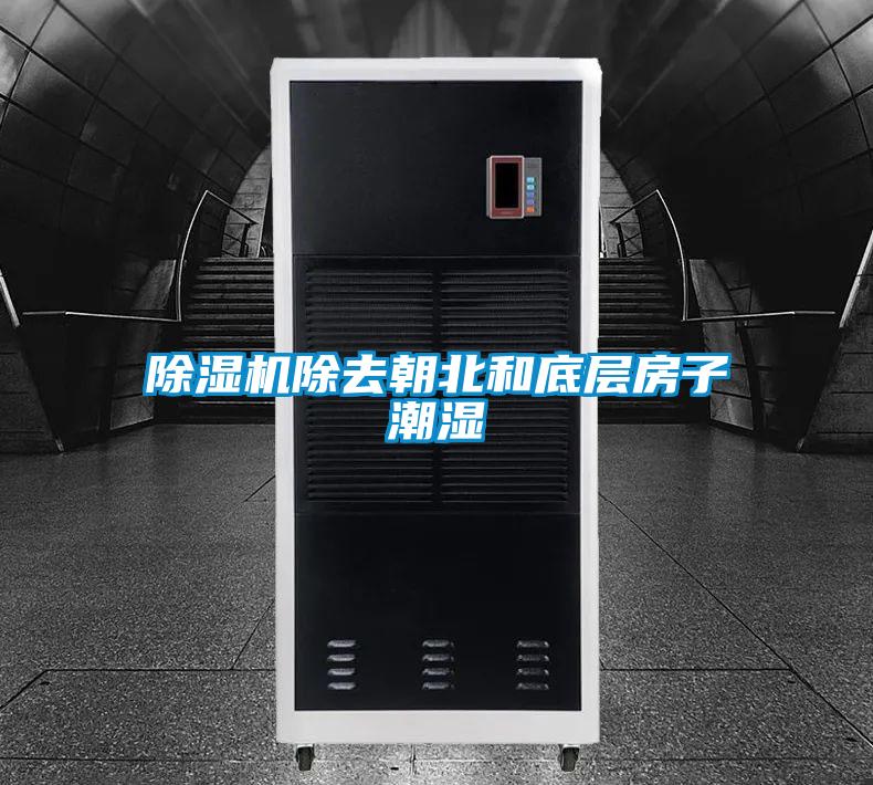 91视频链接下载除去朝北和底層房子潮濕